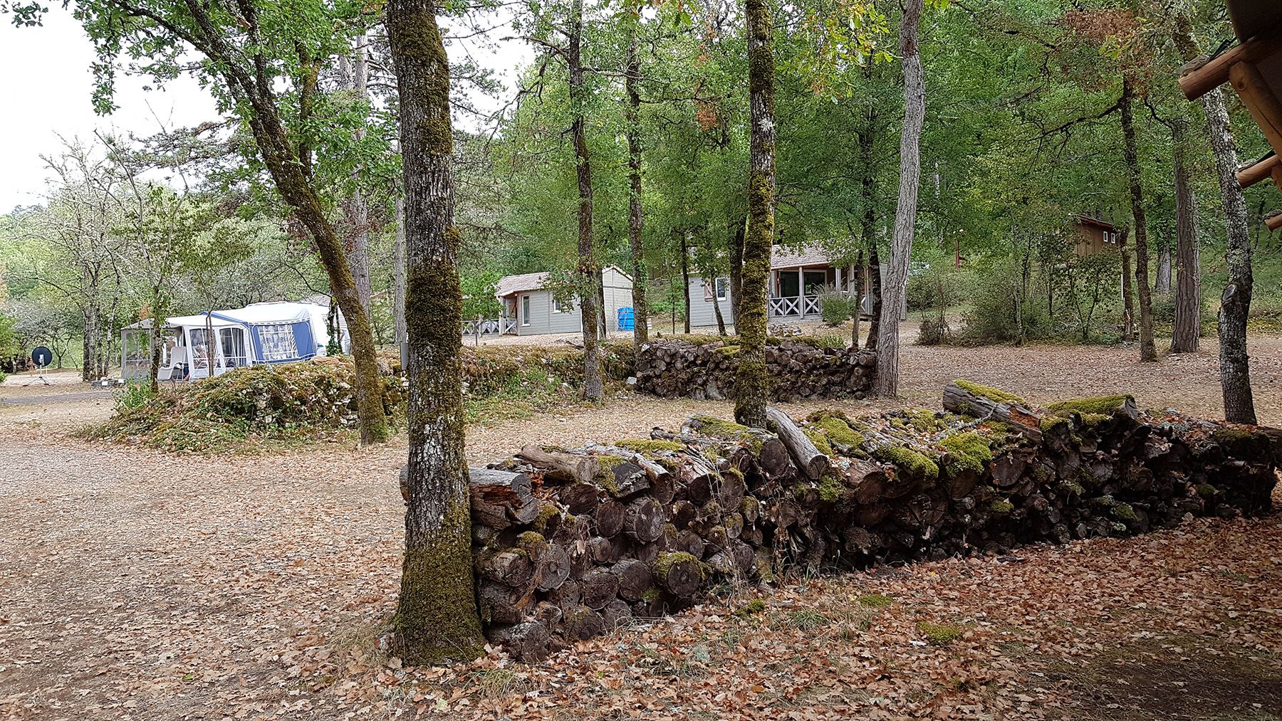emplacements sous-bois du camping