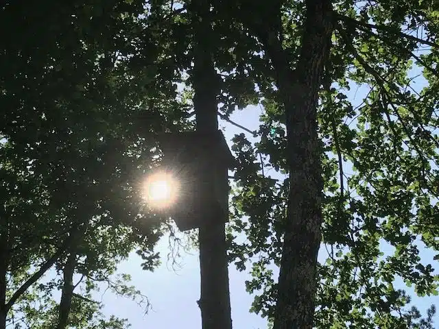 Camping La Peyrugue — photo 5